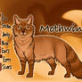 Mothwing of RiverClan - Shrewfoot's Spite