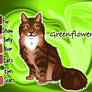 Greenflower of RiverClan - Forest of Secrets