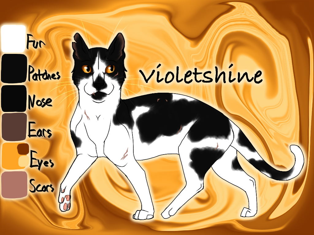 Violetshine of SkyClan - Lost Stars