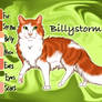 Billystorm of SkyClan - Sasha's Calling