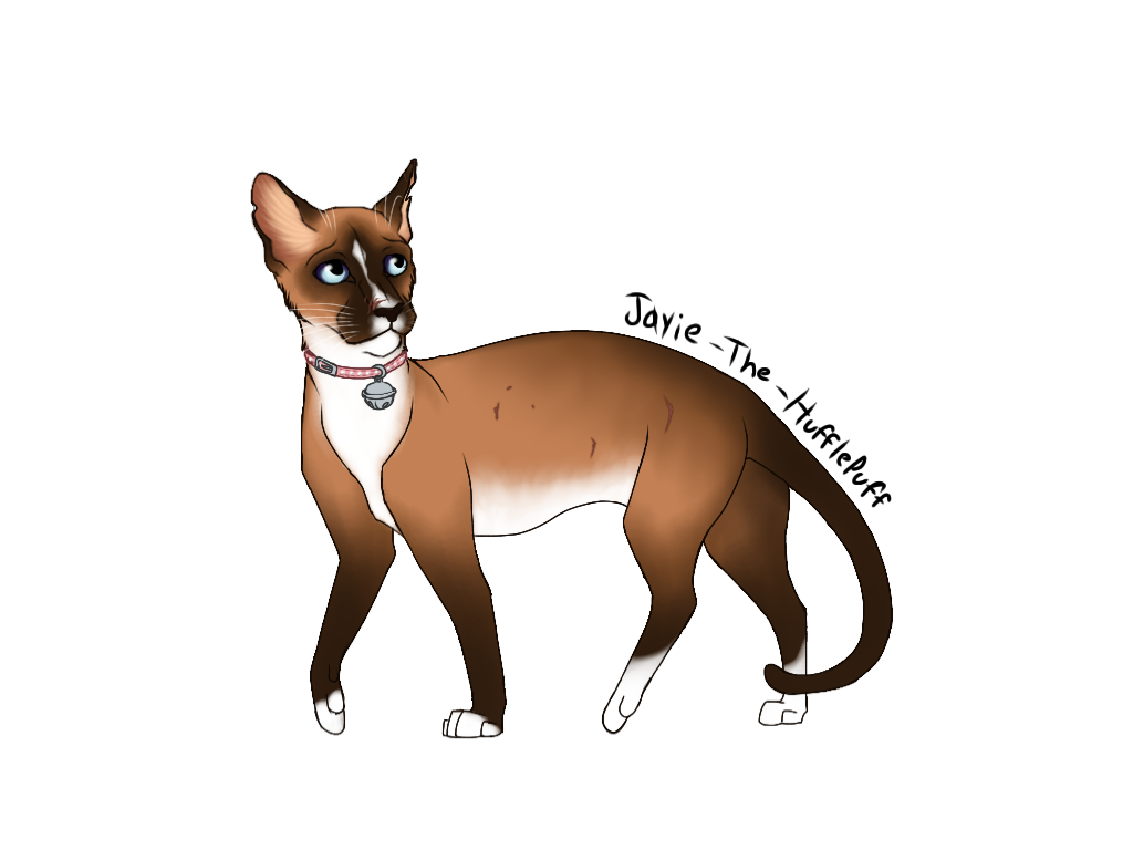 Hufflepuff clearance cat collar