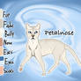 Petalnose of SkyClan - Sasha's Calling