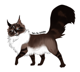 Hawkfrost for Collab