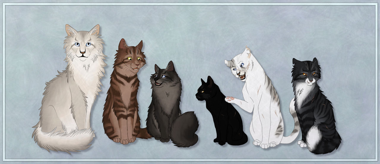 Warrior Cats Ivypool Kits WCAnimated | A Very Special Post To All Of