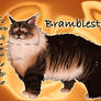 Bramblestar of ThunderClan - Silent Sacrifice