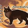 Sorrelstripe of ThunderClan - The Silent Thaw