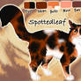 Spottedleaf of ThunderClan - Into the Wild