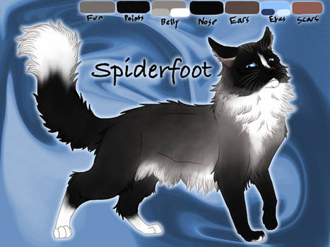 Spiderfoot of ShadowClan - Shrewfoot's Spite
