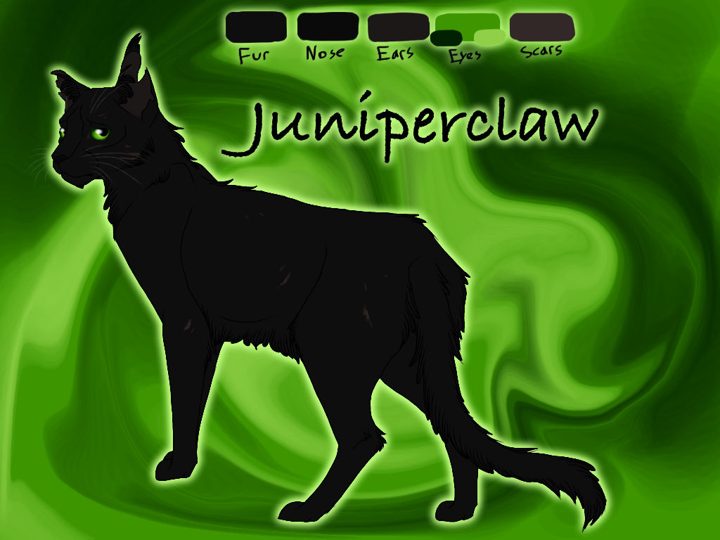 Juniperclaw Juniperclaw of ShadowClan - River of Fire by Jayie-The-Hufflepuff on ...
