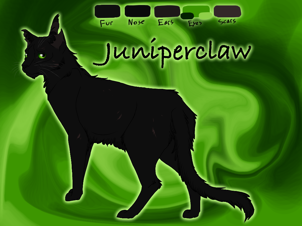 Juniperclaw Juniperclaw of ShadowClan - River of Fire by Jayie-The-Hufflepuff on ...