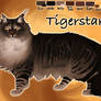 Tigerstar of ShadowClan - The Darkest Hour