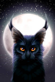 Heart of the Night