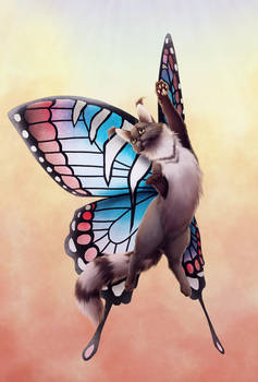 Gift: Transformation