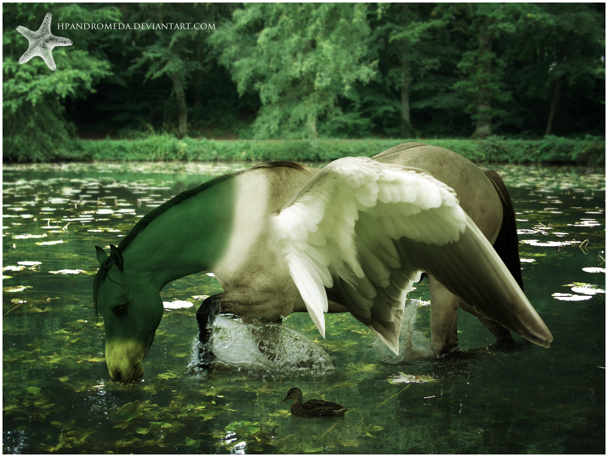 Mallard Horse