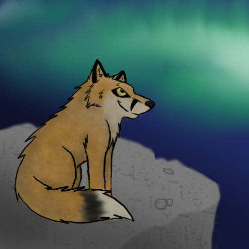 Northern Lights by squalled-101 on DeviantArt