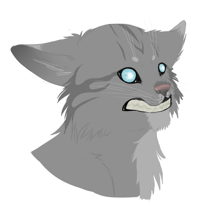 Jayfeather blinking animation by squalled-101 on DeviantArt