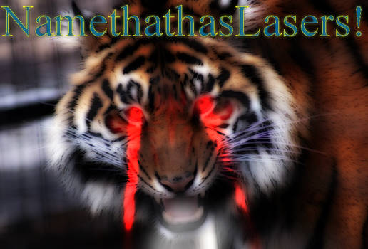 NamethathasLasers!