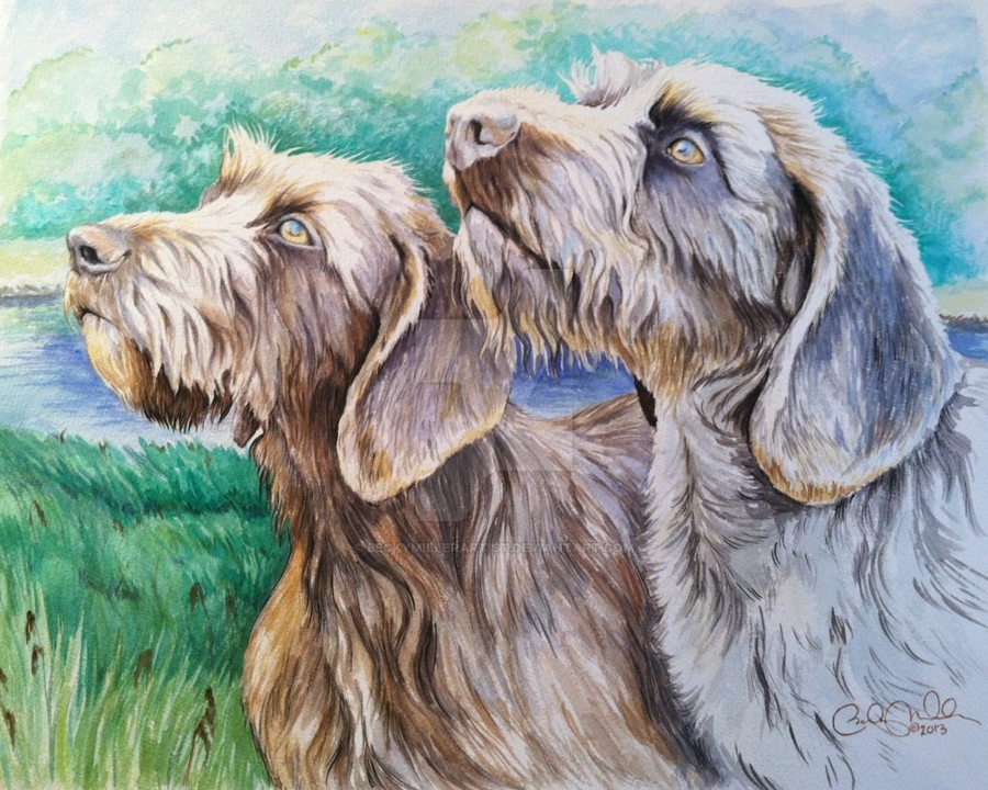 Commission of hunting dogs by beckymillerartist Commission of hunting dogs by beckymillerartist