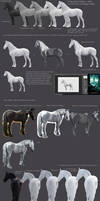Horse Color: Black To White