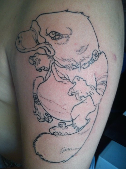 platypus tattoo