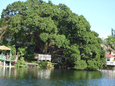 Grandma's Lake Neighboor