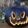 Black Pumpkin stock