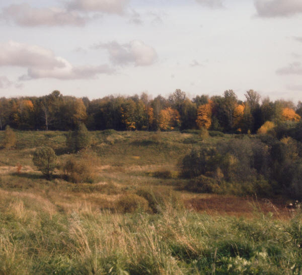 Beautiful view of Landscape Consultation Quote Online