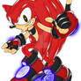 Ronell the Hedgehog S.A. Style