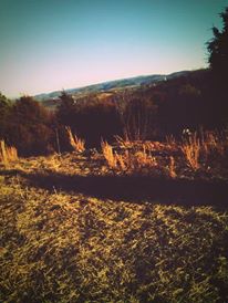 Mountains and the sky.