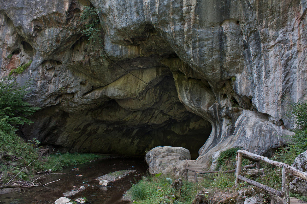 Cave in Romania, entrance: Pestera Bolii