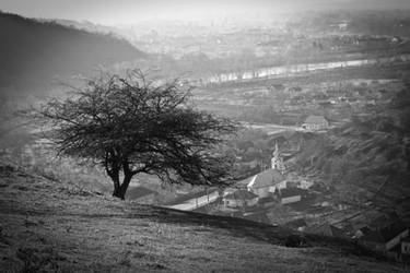 The Sentinel by mariustipa