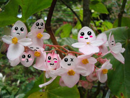 Flower cute faces