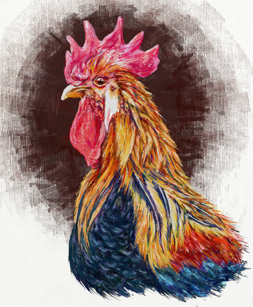 A Sketch Portrait Of A Rooster by digit-Ds A Sketch Portrait Of A Rooster by digit-Ds