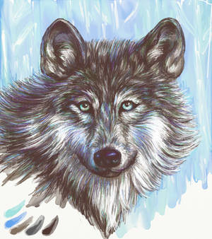 A Gray Wolf - 5 Colors Palette Challenge by digit-Ds A Gray Wolf - 5 Colors Palette Challenge by digit-Ds