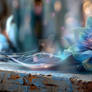 Painted by Light, Held by Time