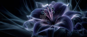 Whispers in Ultraviolet