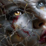 Shattered Grace