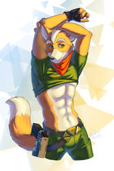 Fox McCloud (StarFox)