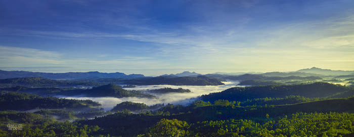 The Mist and the Valley