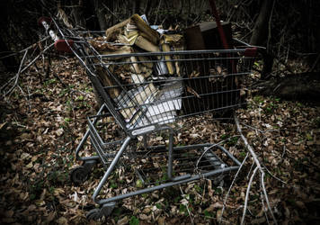 Old shopping cart with magazines and books in it