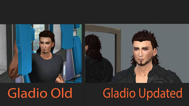 Gladiolus Sim Updated)
