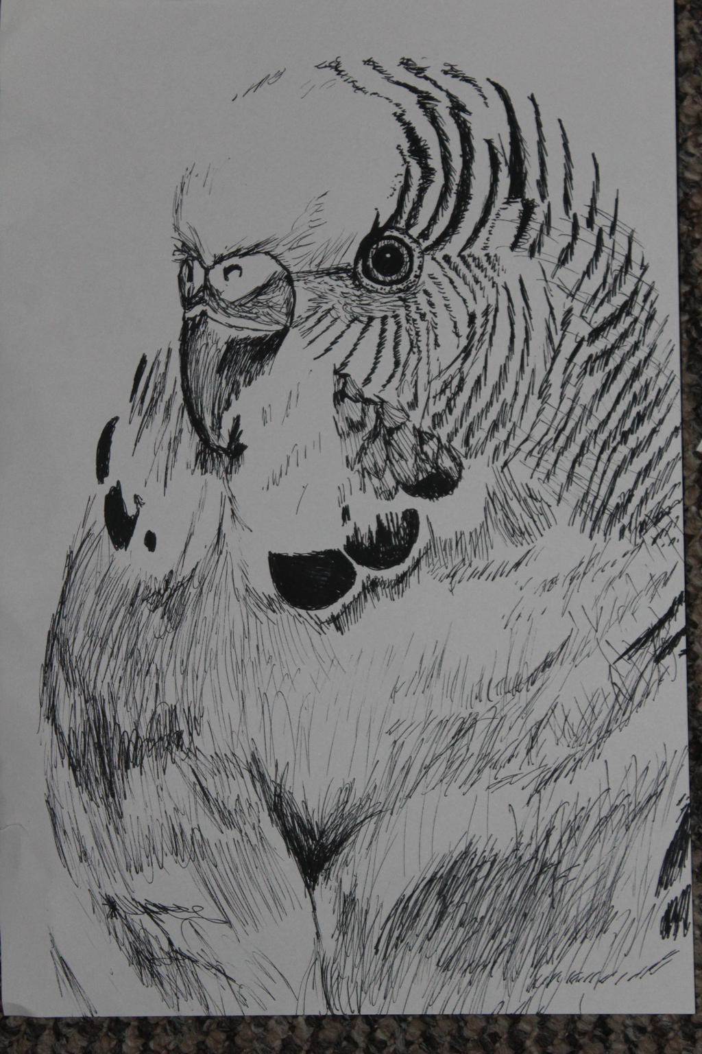 Bird Biro 006