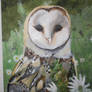 Barn Owl painting