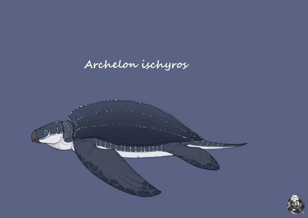 Ruler Turtle Archelon ischyros by GUISHANMOON on DeviantArt
