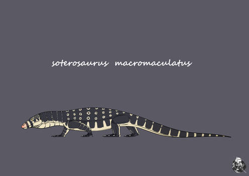 Soterosaurus  Macromaculatus