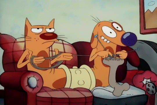 Catdog couch best sale
