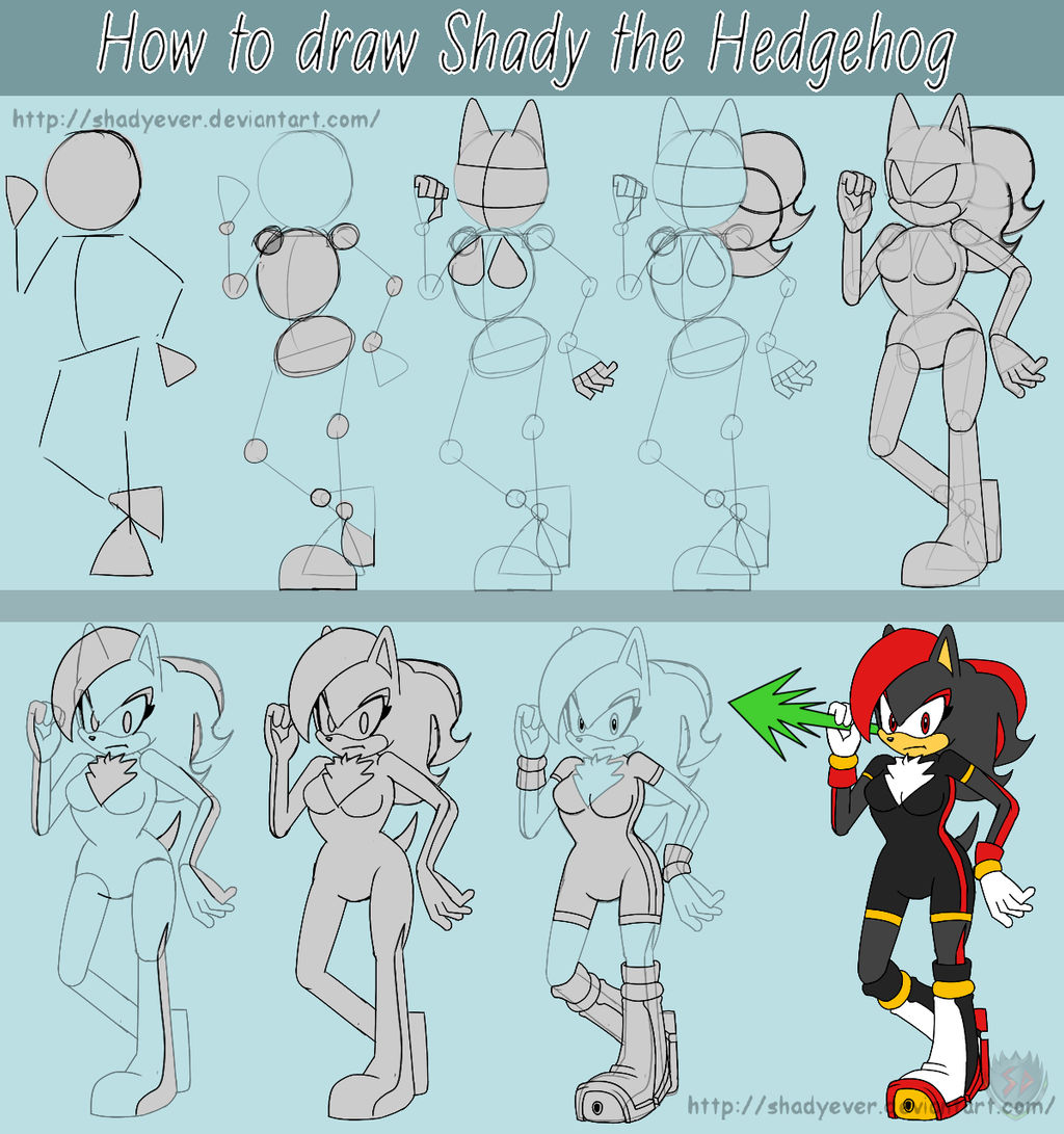 Tutorial Character Fan's Sonic On Drawing-Tutorial - Deviantart