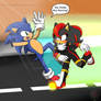 Sonic and Shady