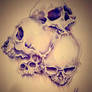 Skulls