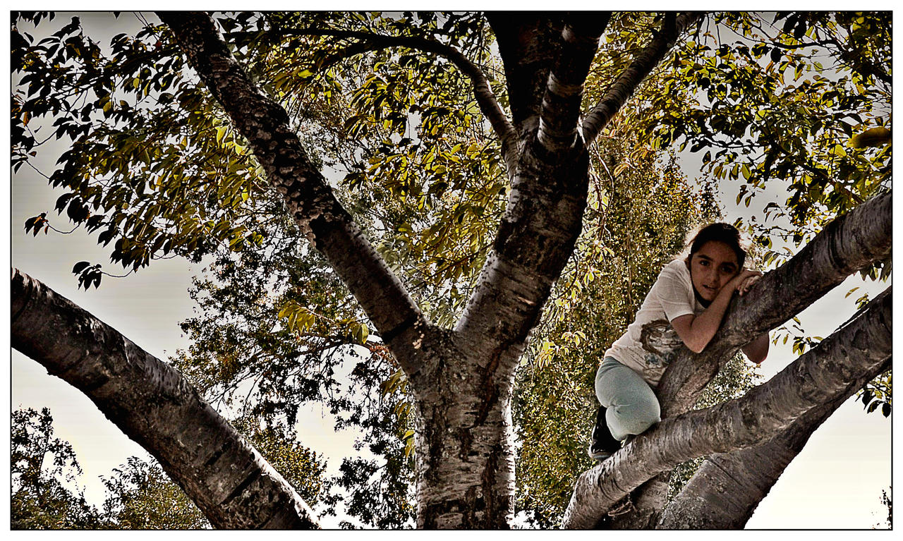 Girl In The Trees